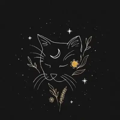 纯黑无字空白黑色头像 超好看的简约头像,个性头像图片-回车桌面