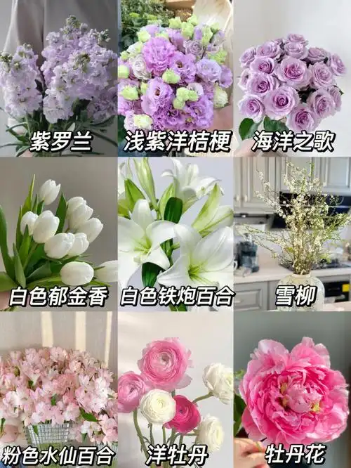 50种鲜花花语不同颜色花语寓意不同第一篇