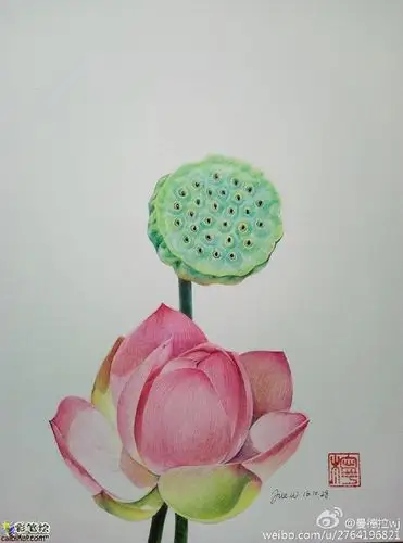 两幅适合彩铅初学者的画