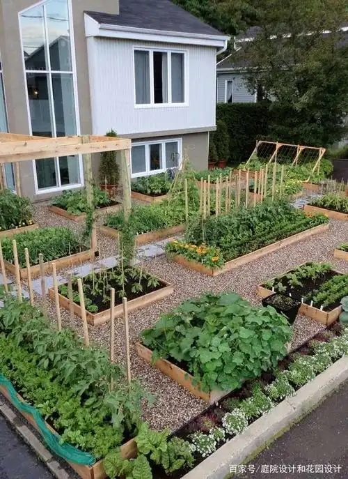 蓝墨庭院设计 专注于庭院设计和屋顶花园设计