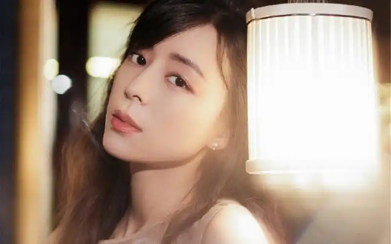 张静初优雅性感图片桌面壁纸