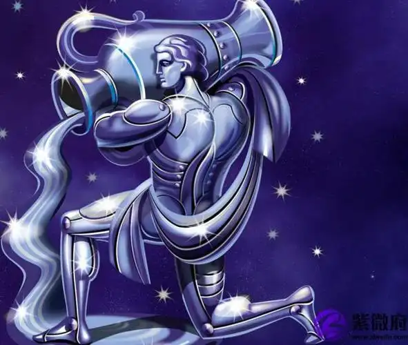 揭秘十二星座水瓶座