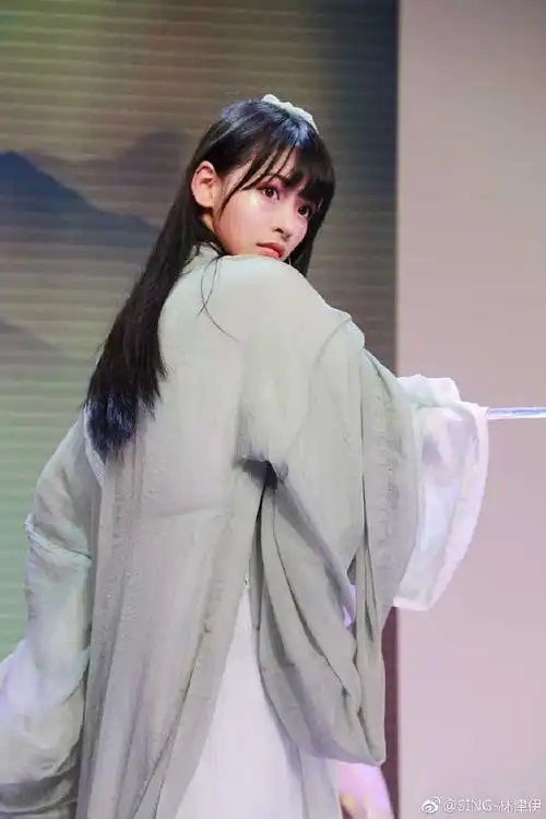 侠骨柔情林津伊