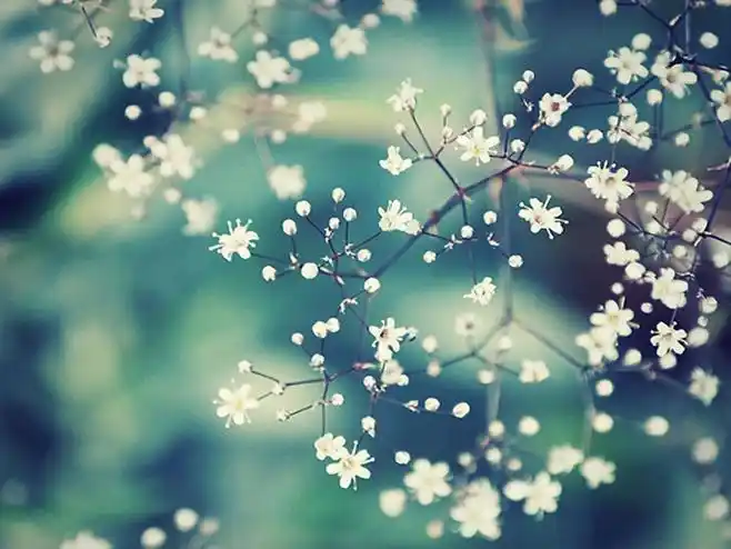 唯美风景lomo伤感风格的意境图片