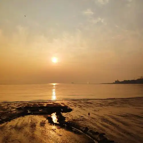 背景图|壁纸|海边