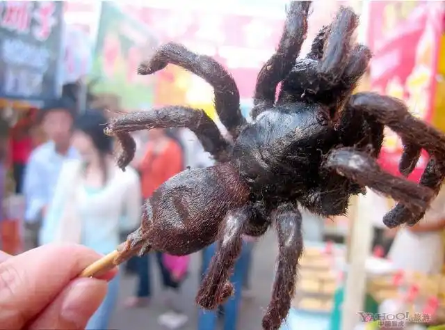 恐怖美食第一弹:敢吃两种以上的,算我输!