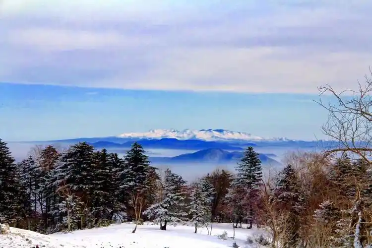 长白山雪景寒林图
