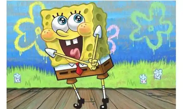 动画片里的海绵宝宝是什么细胞动物