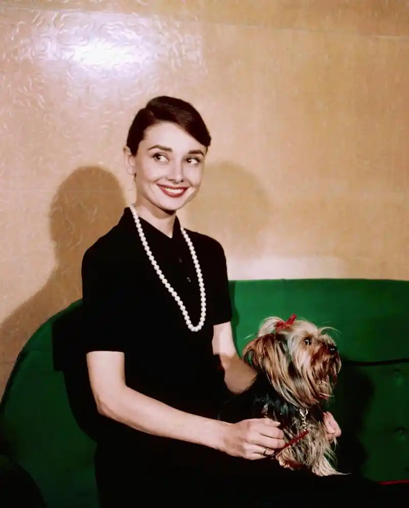 奥黛丽赫本的彩色老照片,美的不只是美貌