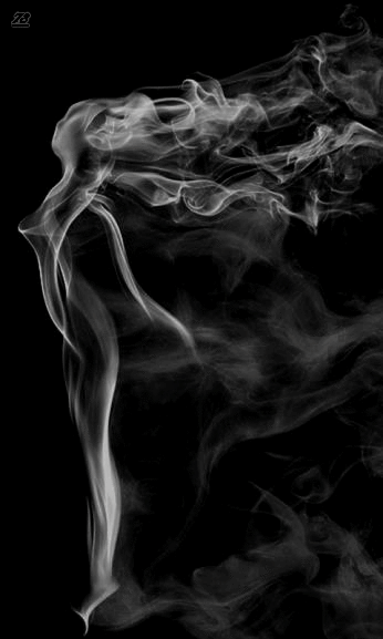 346_577竖版 竖屏gif 动态图 动图