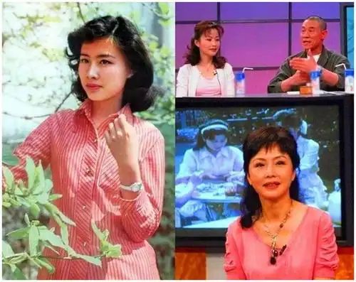 杜志国和前妻离婚后曾为了孩子复婚,一直到杜淳成年才再次离婚.