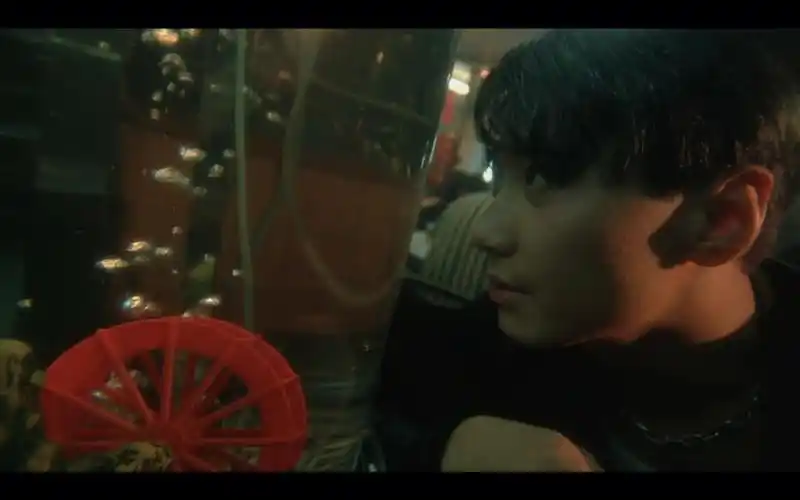 片名:堕落天使制作:王家卫,杜可风,张叔平演员:黎明,李嘉欣,金城武