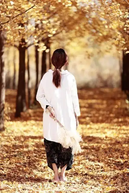 心静了,福气就来了:一组禅意唯美图片分享