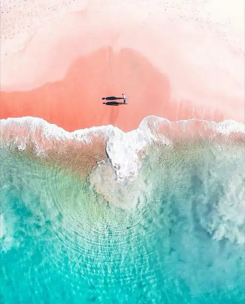 1080_1342竖版 竖屏