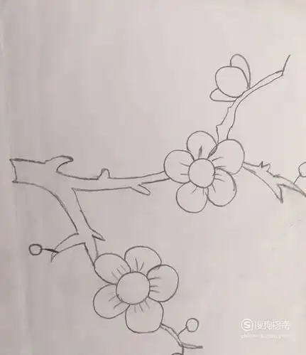 儿童绘画梅花儿童绘画梅花的简笔画有颜色的