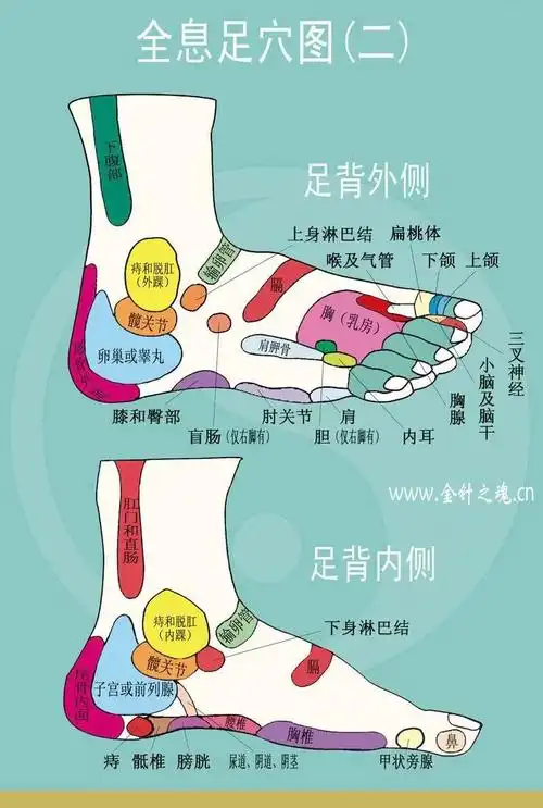 足部反射区图 - 美篇