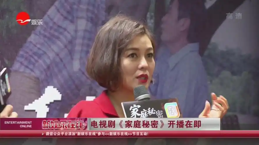 视频电视剧家庭秘密开播在即