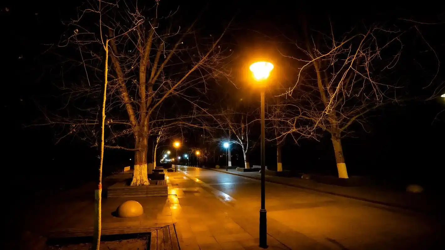 夜景.#路灯下 #十二月 #安静的夜 #原创作品 - 抖音