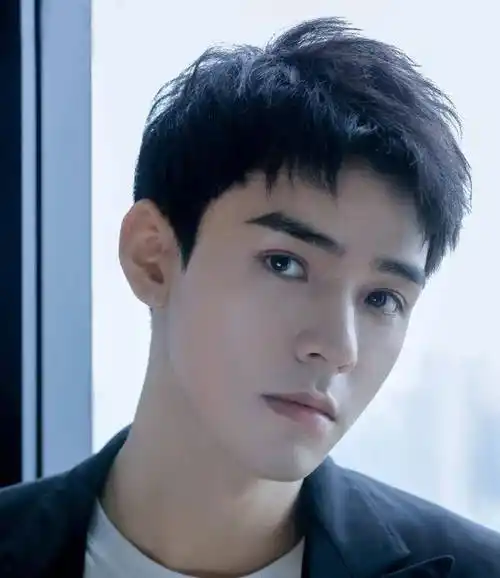 中国帅哥排行榜中国公认最帅的5个男人排行榜