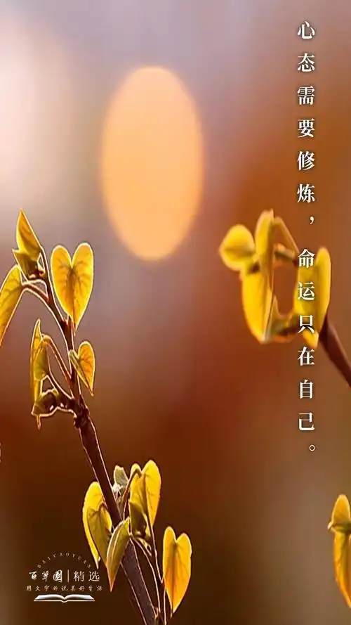 生活禅丨心态需要修炼,命运只在自己_人生