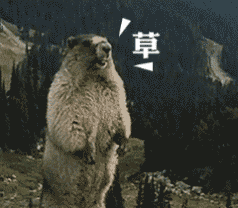 狗熊大吼愤怒草gif动图_动态图_表情包下载_soogif