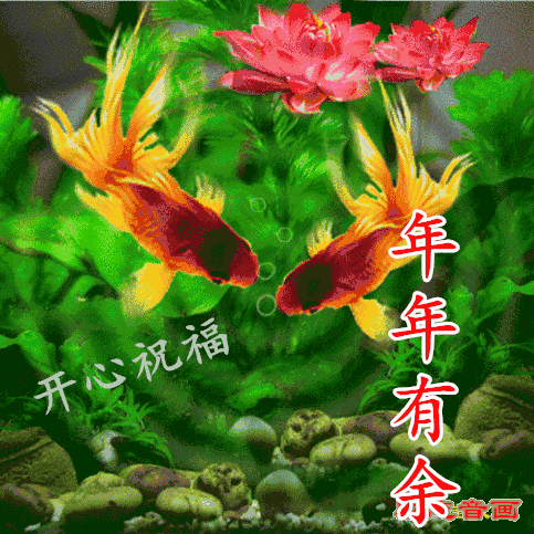 买上两条金鱼供着 吉利喜庆 好事连连,寿与天齐 招财进宝,春风得意