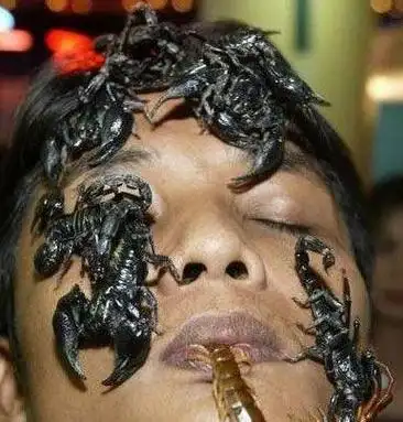 世界最可怕的密集图片:世界上最恶心的,恐怖的图片