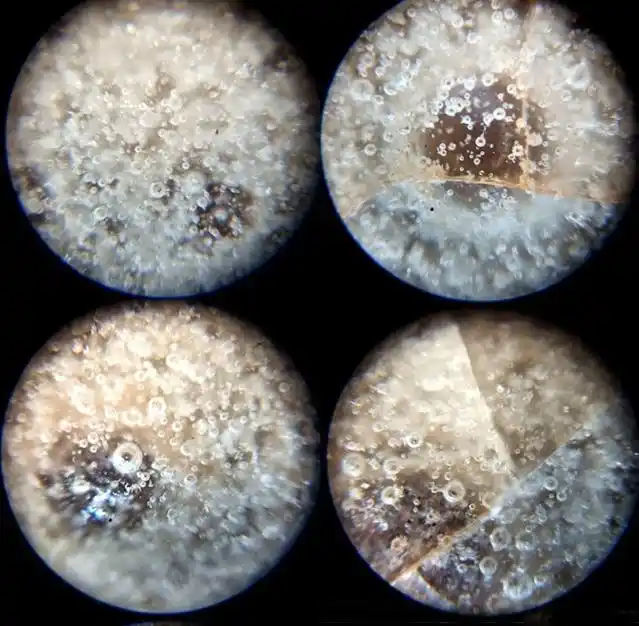 传统鉴定:一分钟教你学会看哥窑