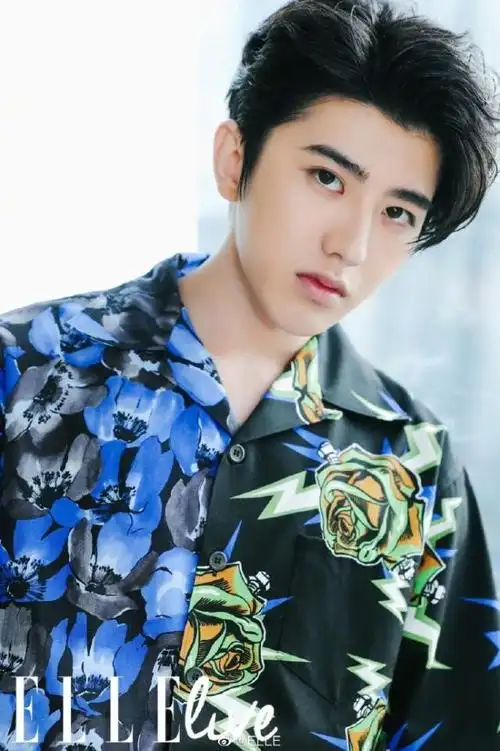 《elle》发布蔡徐坤花衬衫照 夏日气息扑面而来