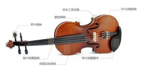 eira初学者调音夹板乐器手工考级小提琴