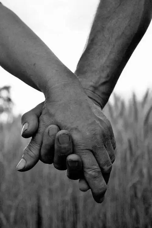 手,两个人,家庭,夫妻,握手,竖图,黑白,室外,特写,白天,正面,爱情,草地