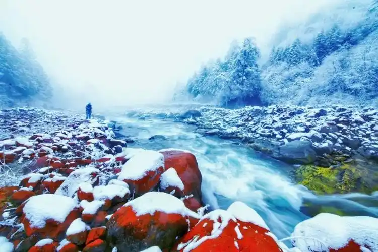 打飞的800往返,不到3000块玩一星期!还能住进抖音最美网红酒店