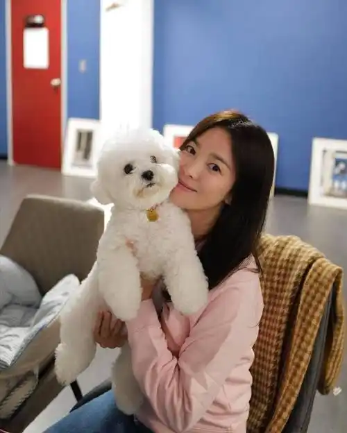 宋慧乔ins##宋慧乔