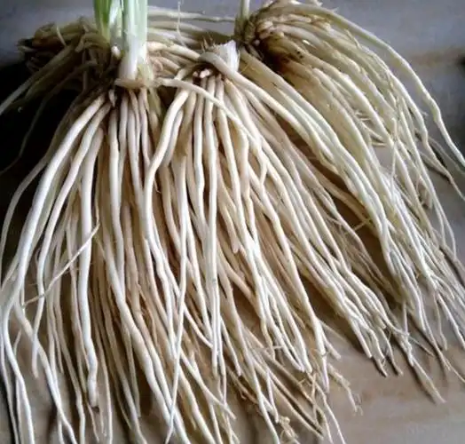 让男性钟爱的"壮阳草",端上桌来都爱吃,补肾益气效果棒