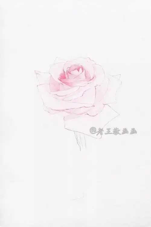 色(没有该画材的童鞋,可使用相近颜色)纸张:普通素描纸即可(完成稿及