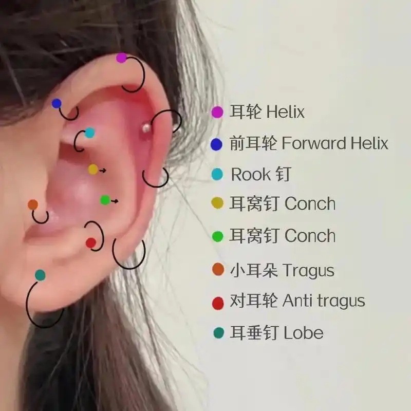 耳洞的好看位置.【 耳钉位置参考图 】 如果不清楚耳朵部位名 - 抖音