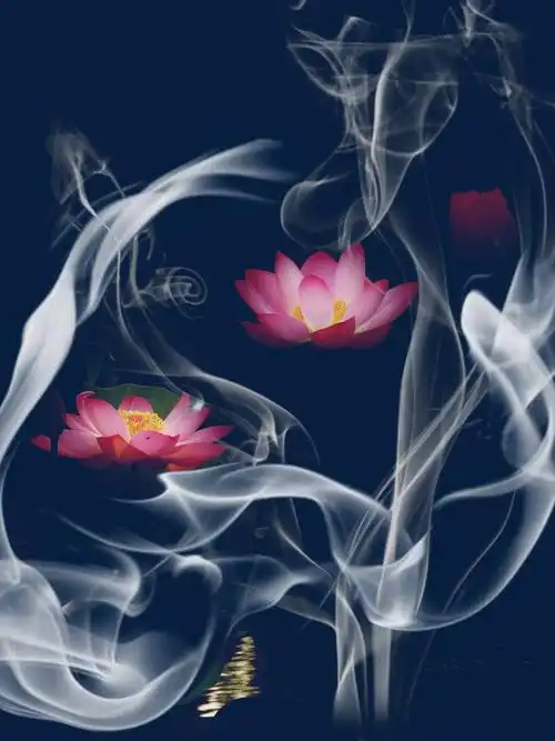 梦幻莲花后期习作