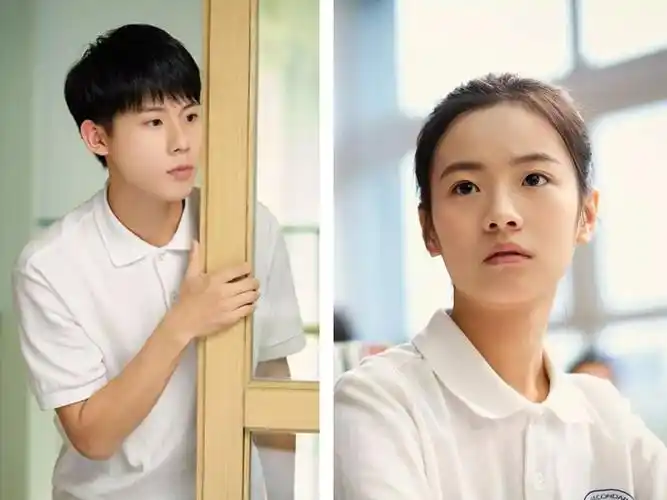 被全网吹爆的《小欢喜》,到底好看在哪里?