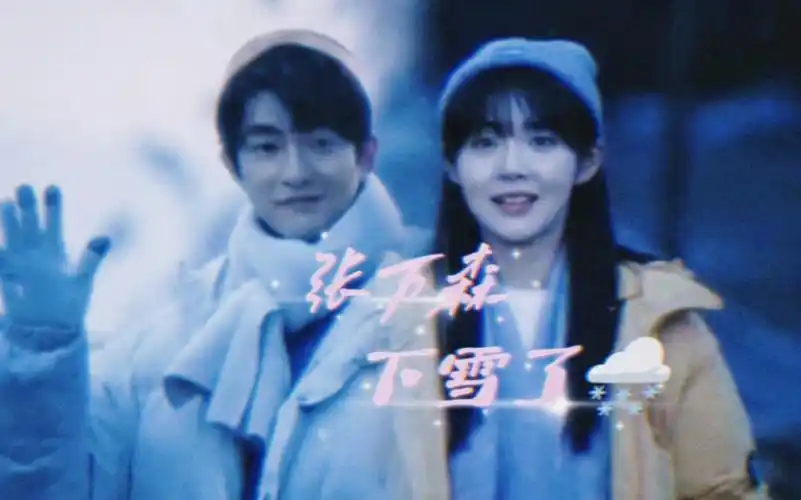 【张万森 下雪了】"我期待的不是雪 而是有你的冬天"