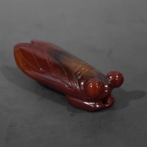 特价古玩热卖红山文化吉祥红玛瑙知了一鸣惊人玉蝉小件礼品收藏