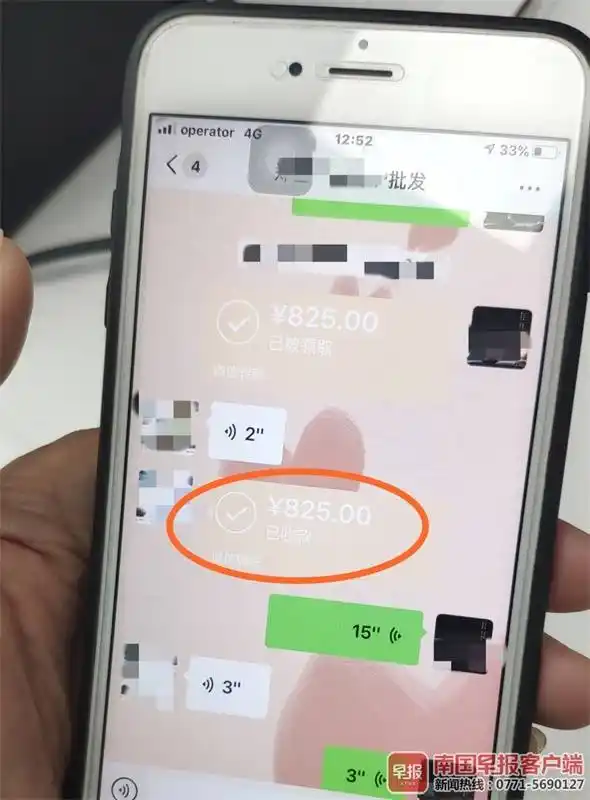 袁女士给店主转账记录.