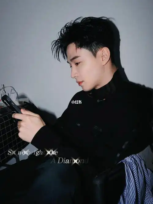 帅崽崽henry刘宪华