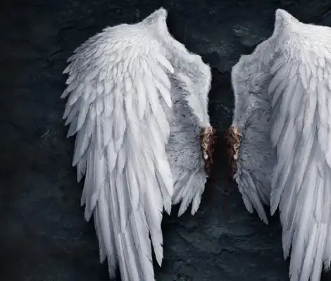 十二星座最炫酷的翅膀,处女座高雅,狮子座的超霸气!_感觉_金牛座_事情