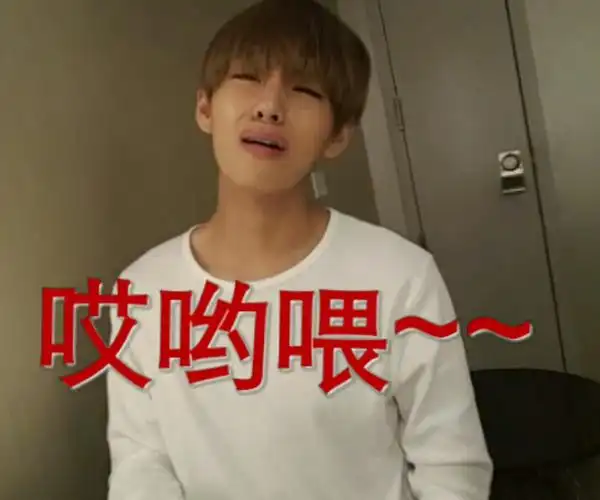 本人原创金泰亨表情包