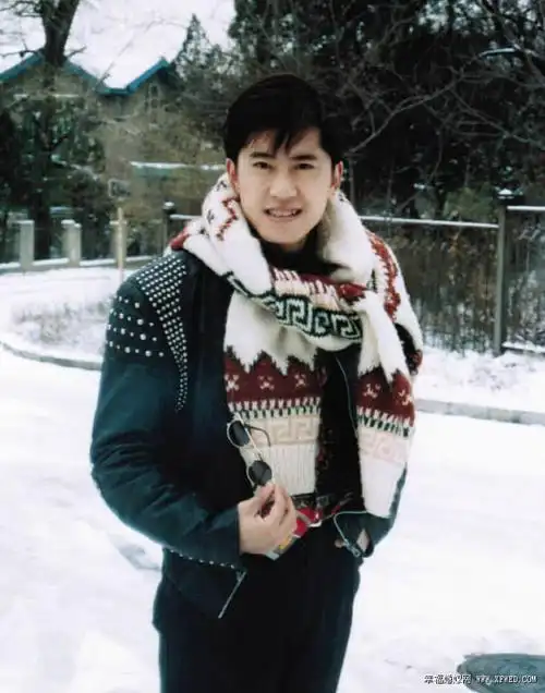 com_毛宁被刺事件是怎么回事 毛宁和关铭什么关系为什么被刺原因揭