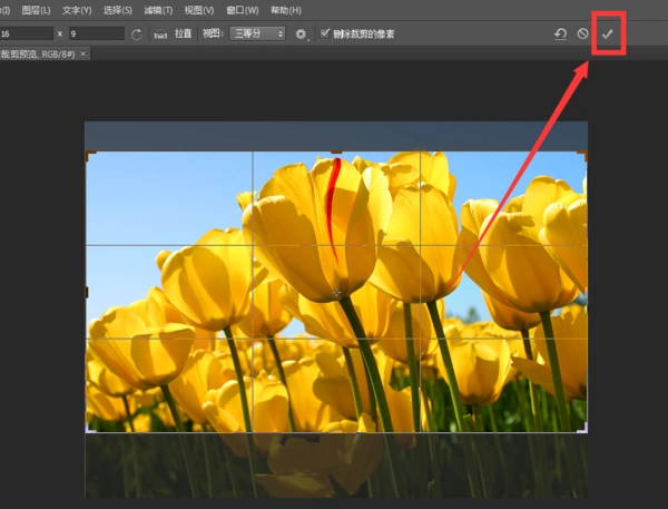 怎样把图片用photoshop截成16比9的图像