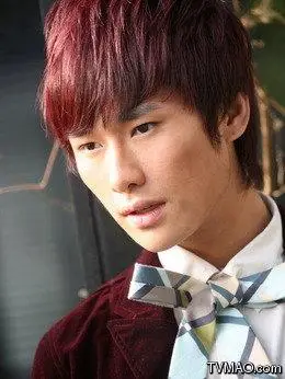 一起来看流星雨剧情介绍(1-36全集)大结局_电视剧_电视猫