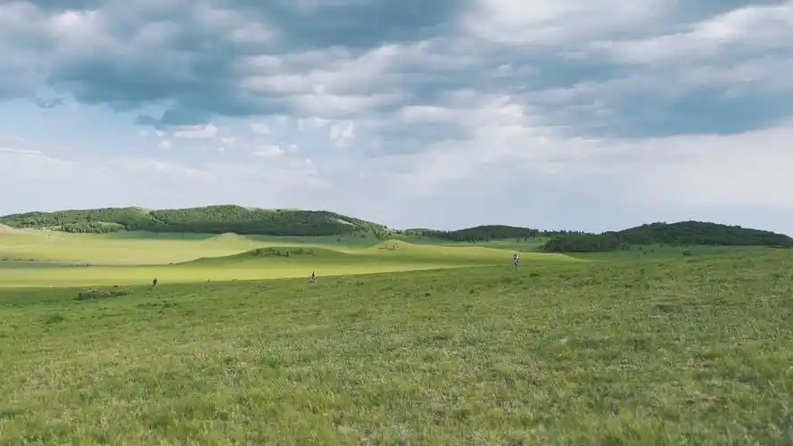 夏日草原 自由如风
