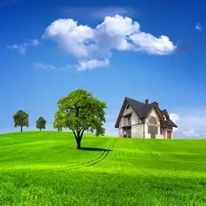 fj1170定制环保高清蓝天白云草地风景8d景自然风景绿色护眼风景画