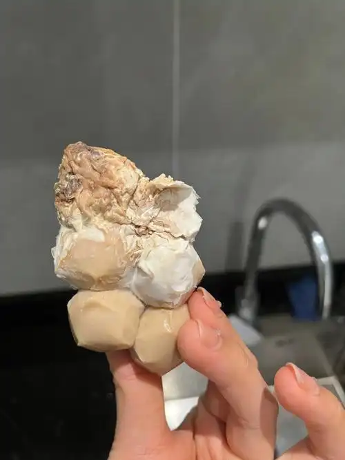 仲夏夜鸡肉丸长蛆发霉变质